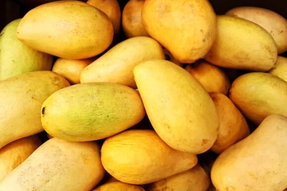 Buy Ataulfo Mango Fruit Box USA | Tropical Fruits Delivery - Image 2