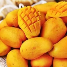 Ataulfo Mango Fruit Box