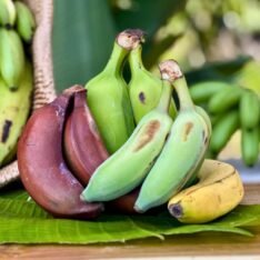 Banana Fruit Basket MIX