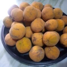 Cotton Fruit Box
