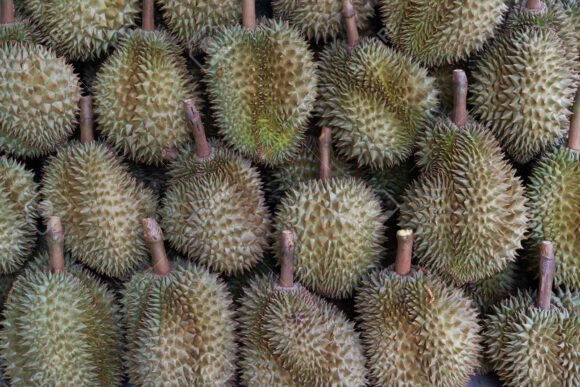 Durian fruit box