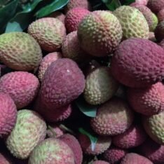 Feizhixiao Lychee Fruit Box