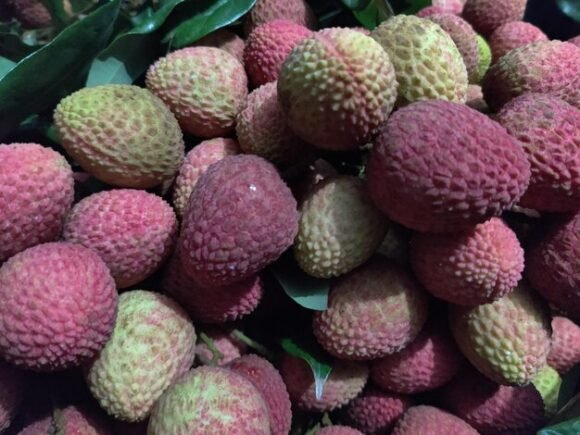 Feizhixiao Lychee Fruit Box
