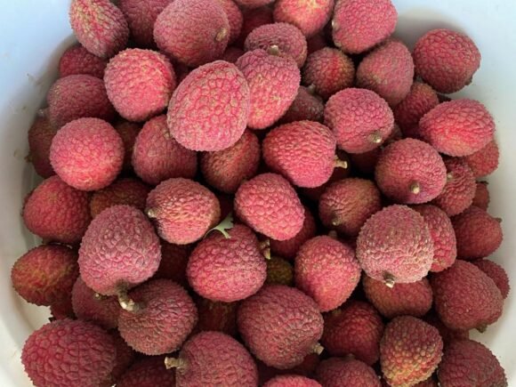 Buy Feizhixiao Lychee Fruit Box USA | Tropical Fruits Delivery