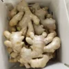 Fresh Tropical Ginger Box