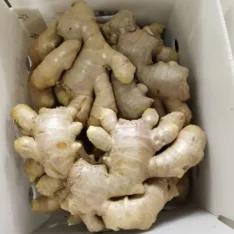 Fresh Tropical Ginger Box