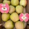 Hidden Rose Apples Fruit Box