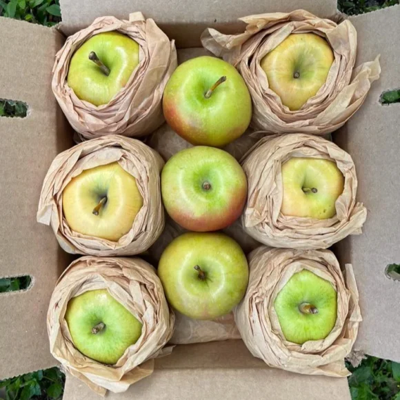 Hidden Rose Apples Fruit Box