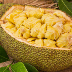 Jackfruit Tropical Fruit Box