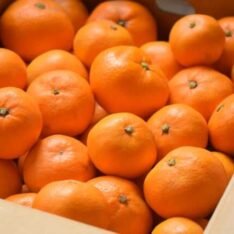 Japanese Jelly Orange Fruit Box