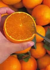 Japanese Jelly Orange Fruit Box