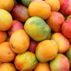 Julie Mango Tropical Fruit Box