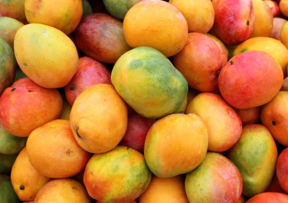 Julie Mango Tropical Fruit Box