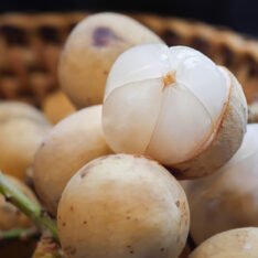 Lanzone Fruit Box