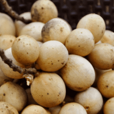 Lanzone Fruit Box