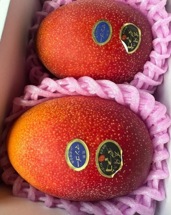 Miyazaki mangoes
