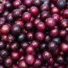 Muscadine Grapes Fruit Box