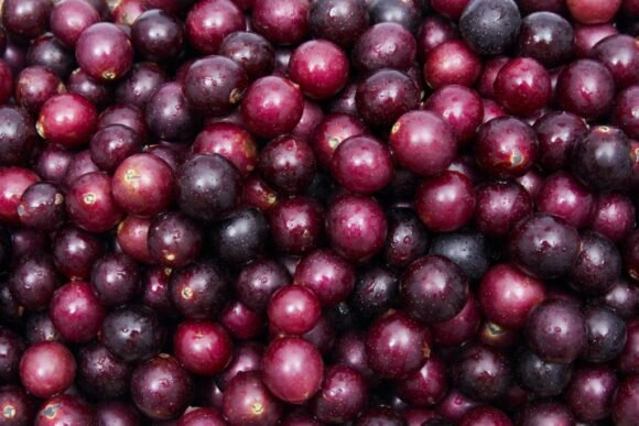 Muscadine Grapes Fruit Box