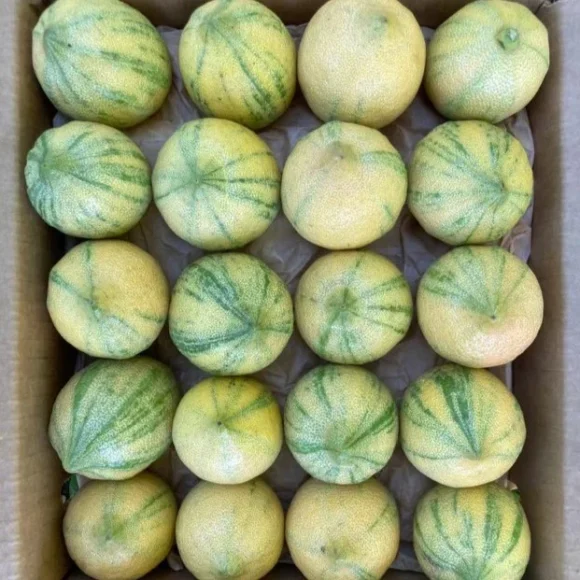 Pink Lemon Fruit Box