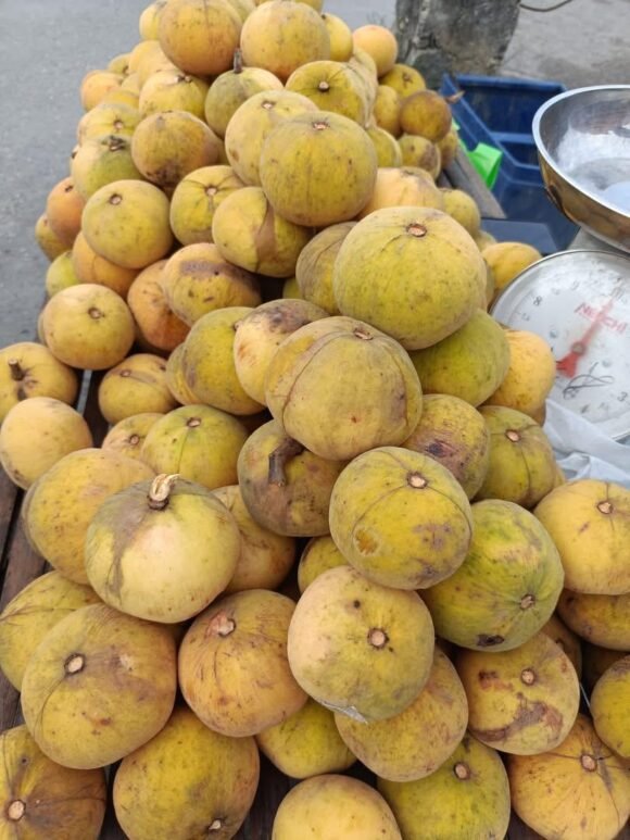 Santol nutritional profile