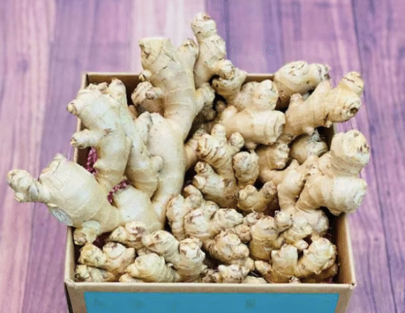 Fresh Tropical Ginger Box