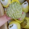 Sugar Apple Fruit Box