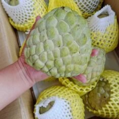 Sugar Apple Fruit Box