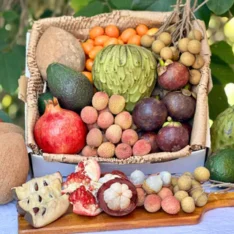 Tropical Hell Fruit Feast Box