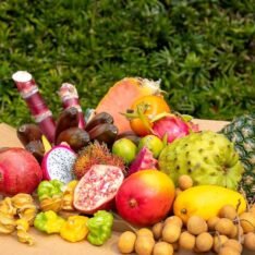 Tropical Hell Fruit Feast Box