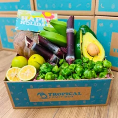 Tropical Holiday Fruit Box