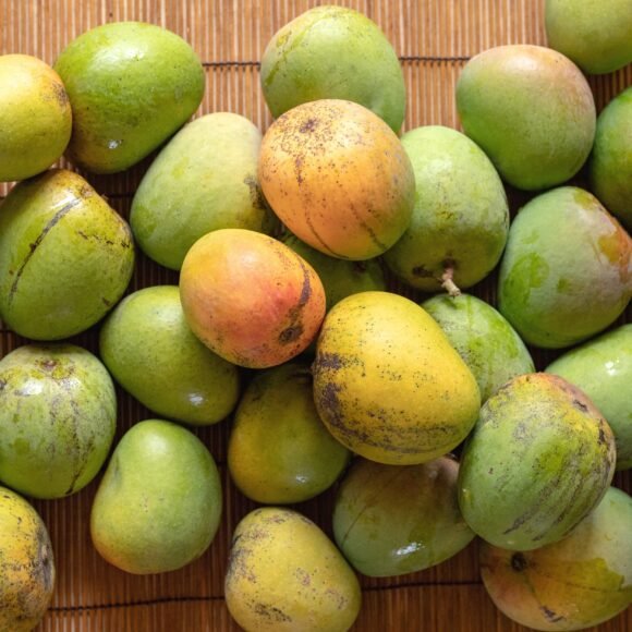 Tropical Mangos Fruit Box