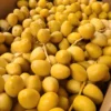 Yellow Barhi Dates Fruit Box