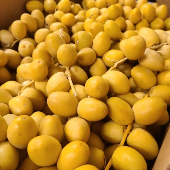 Yellow Barhi Dates Fruit Box