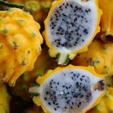 Yellow Dragon Fruit Box