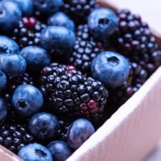 Blue Berry Fruit Box