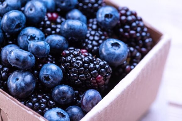Blue Berry Fruit Box