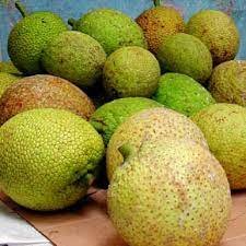 Breadfruit Tropical Box