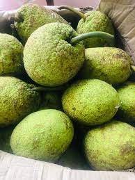 Breadfruit Tropical Box