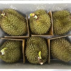 Durian Fruit Box