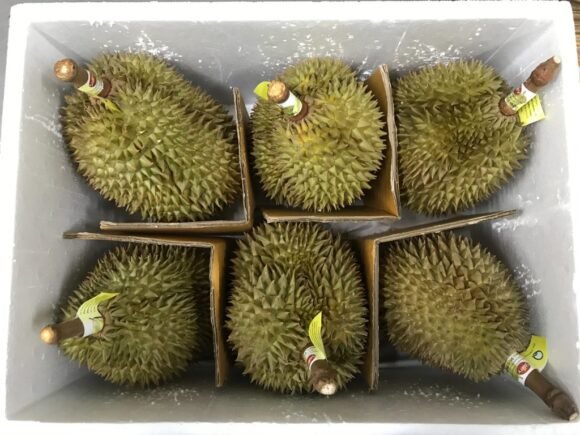 Durian Fruit Box