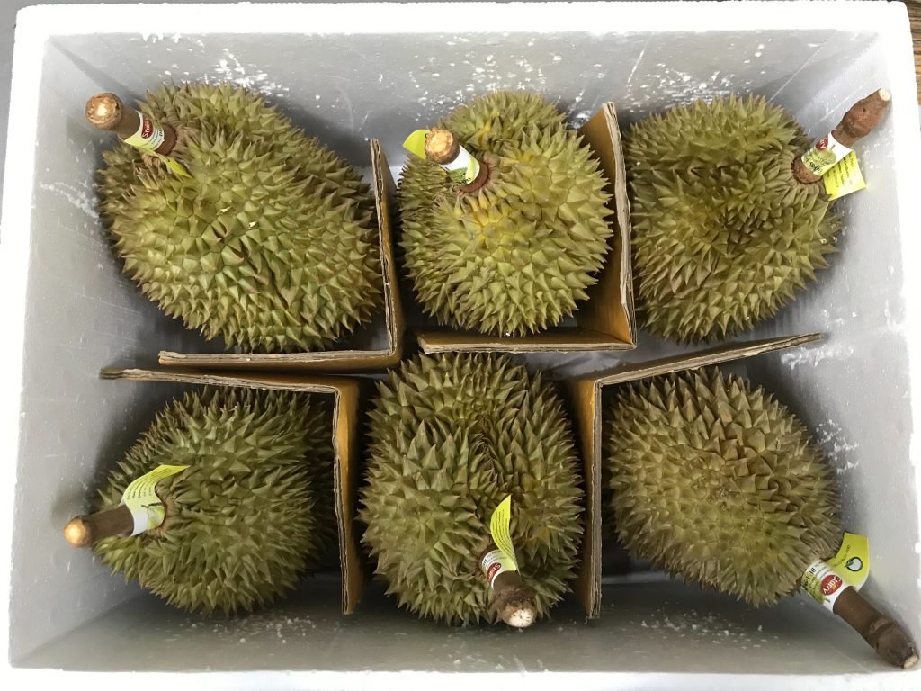 Durian Fruit Box