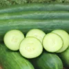 Mini Cucumbers Fruit Box