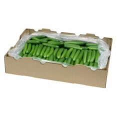 Mini Cucumbers Fruit Box