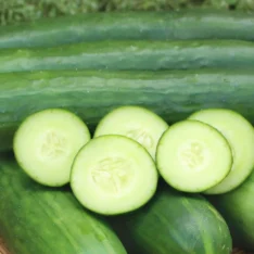 Mini Cucumbers Fruit Box
