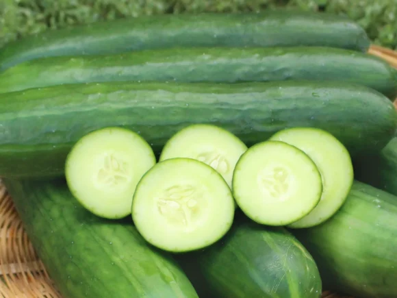 Mini Cucumbers Fruit Box