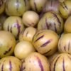 Fresh Pepino Melons Fruit Box
