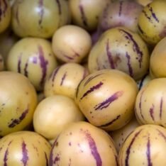 Fresh Pepino Melons Fruit Box