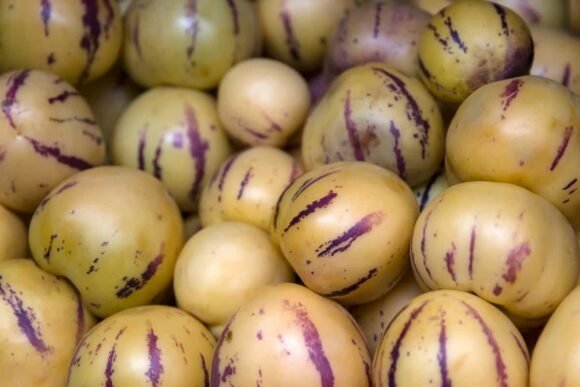 Fresh Pepino Melons Fruit Box
