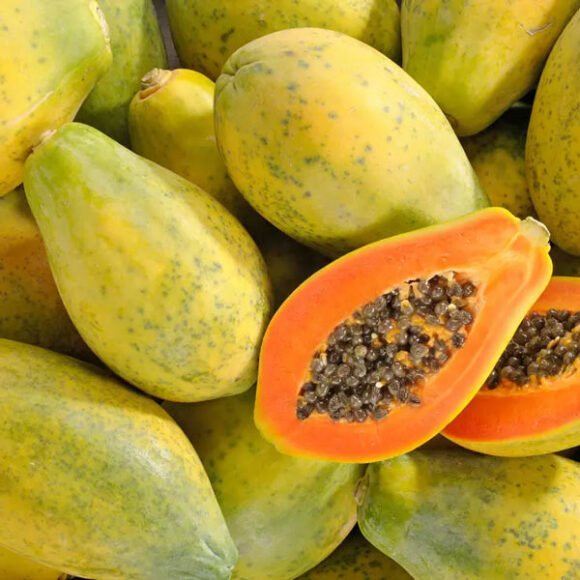 Golden Papaya Fruit