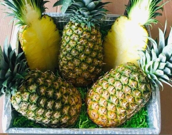 Golden Pineapple Fruit Box
